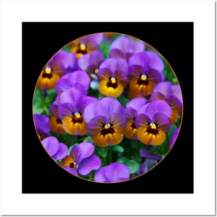 Circle of Purple and Yellow Flowers by Day Posters and Art